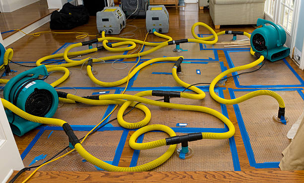 Professional Emergency Water Removal technician working in Darien, WI